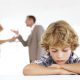 child custody options