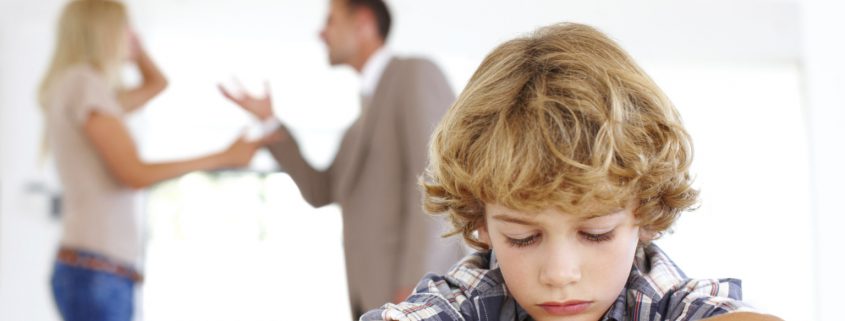 child custody options