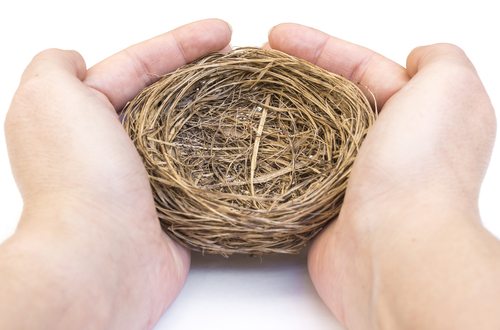 surviving the empty nest 