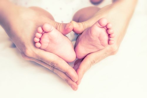 surrogacy in nj