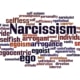 divorcing a narcissist