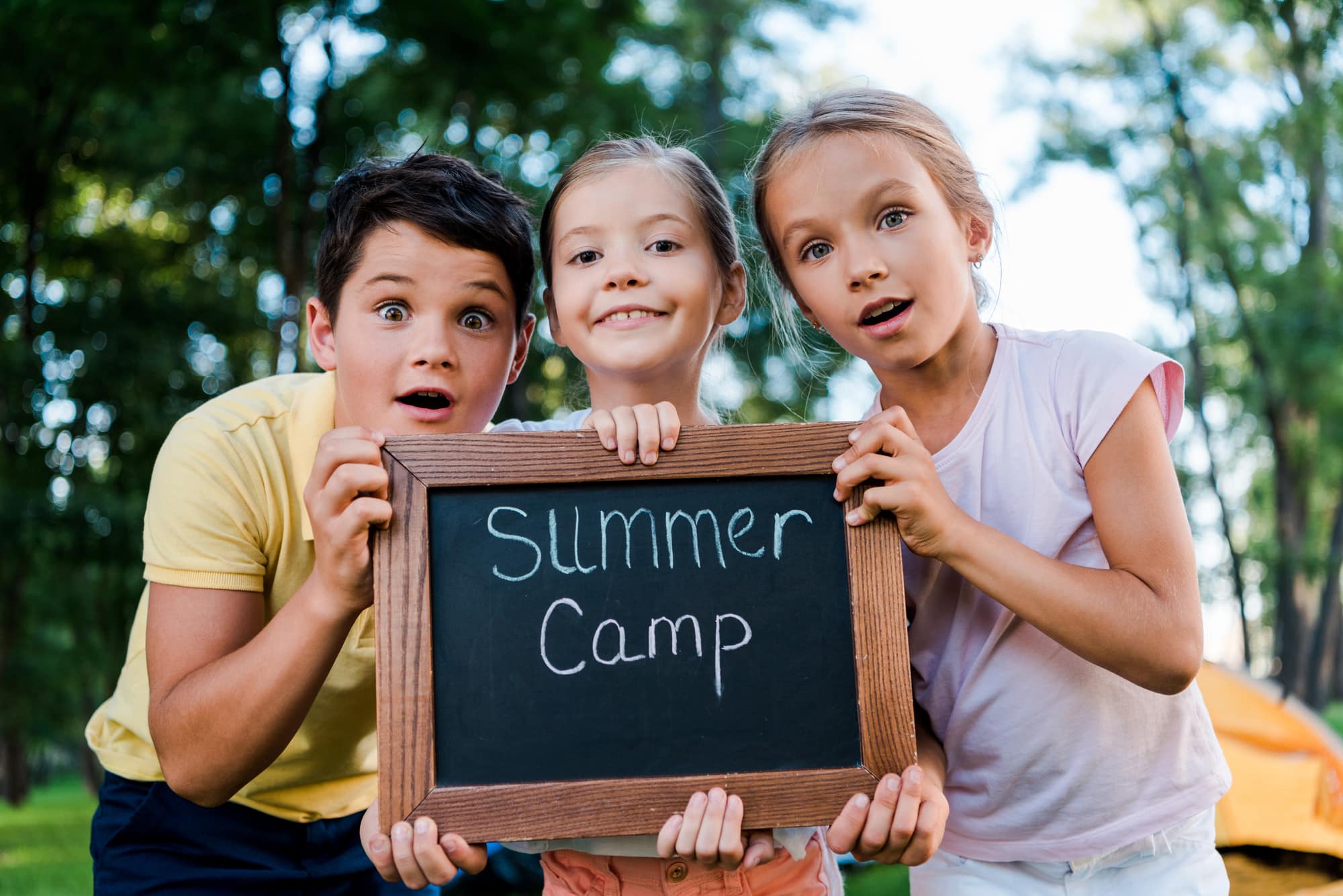 What Happens When Co-Parents Disagree About Summer Camp?